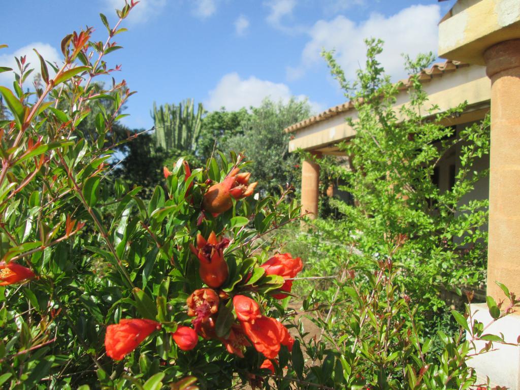 A Giummara Guest House Marsala Exterior photo